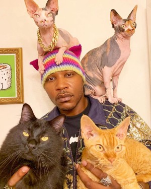 Những người yêu mèo - Cat People